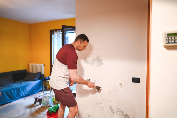 Professional Mold Removal in Minorca, LA