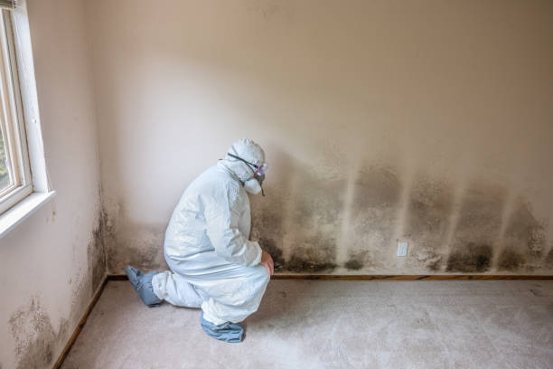 Best Crawl Space Mold Removal  in Minorca, LA