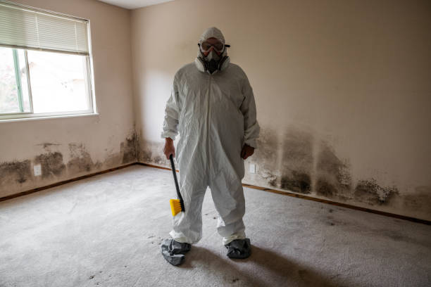 Certified Mold Removal in Minorca, LA